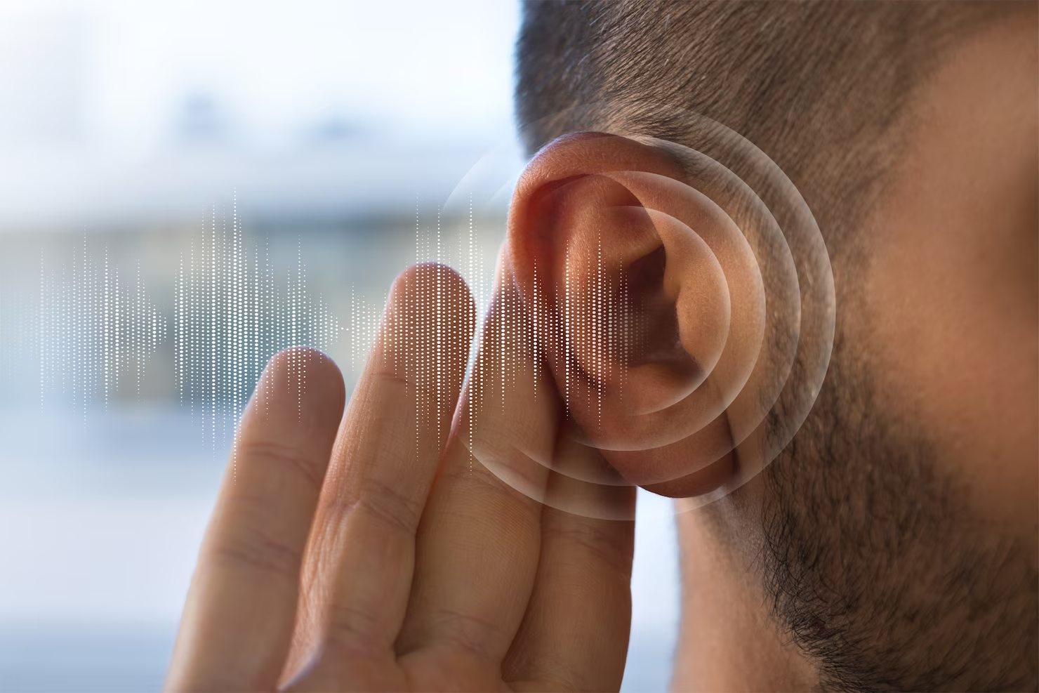 Finding Stability: Exploring the Relationship Between Hearing Aids and Balance